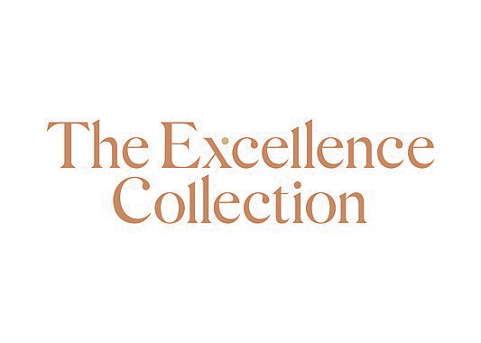 Director Ejecutivo Wellness - Miami 2026 - American Wellness Association | Asociacion Americana de Spa